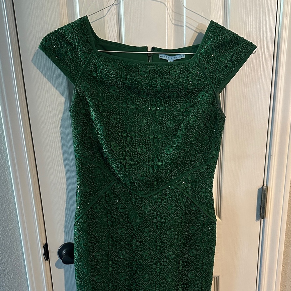 Antonio Melani Green Lace Women Dress size 4